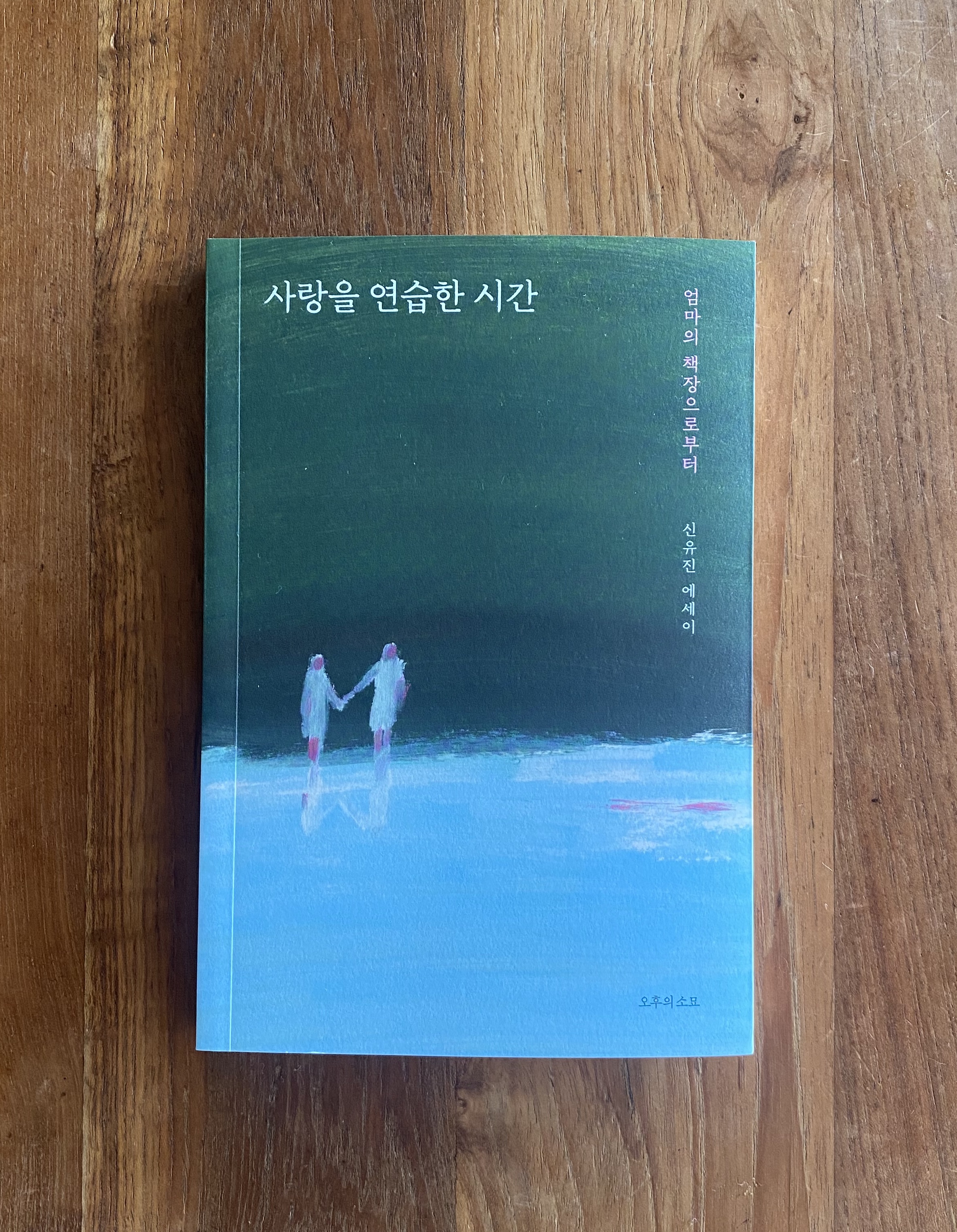 신유진 사랑을 연습한 시간