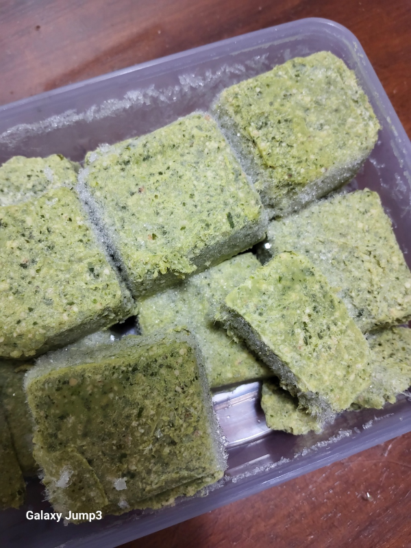 바질페스토 냉동 소분한 사진