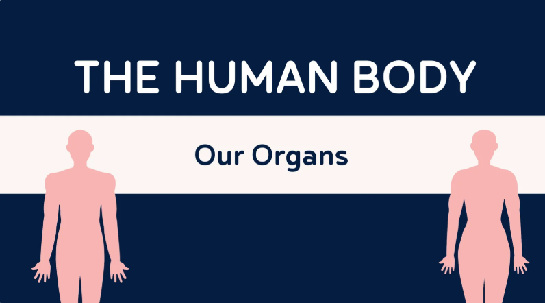 감정과 신체에 대한 이미지입니다