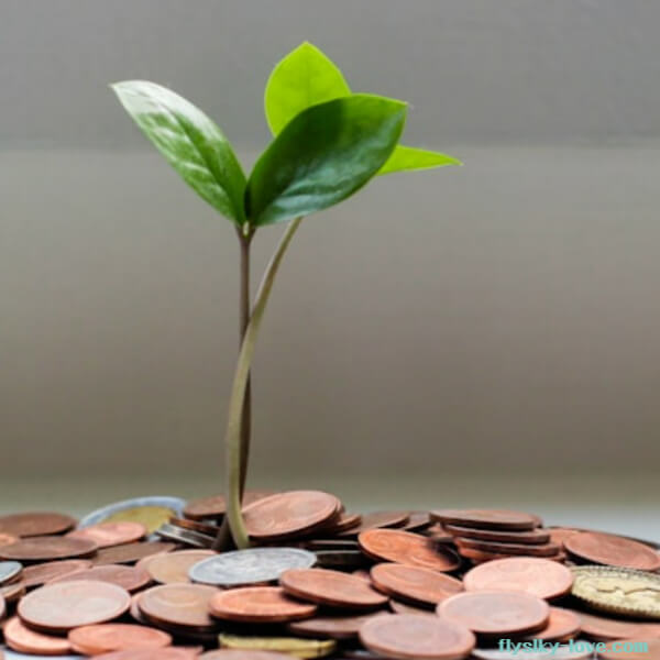 갑자기 돈이 필요할 때