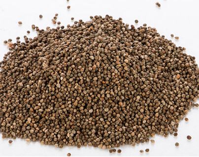 5월에 심는 밭작물