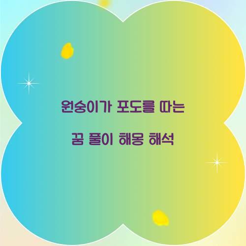 원숭이가 포도를 따는 꿈 풀이 해몽 해석