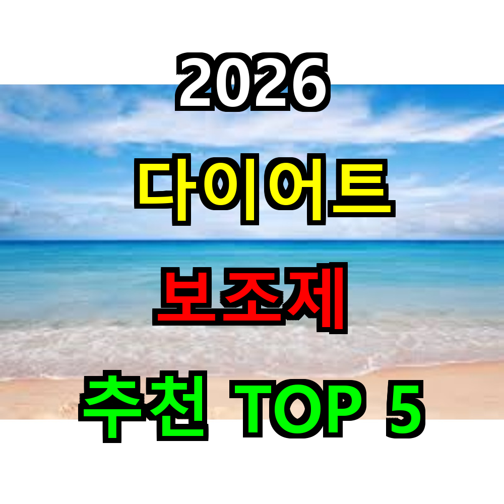 2026 다이어트 보조제 추천 TOP 5