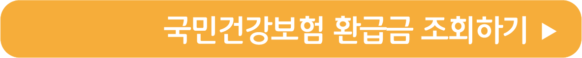국민건강보험 환급금 조회하기