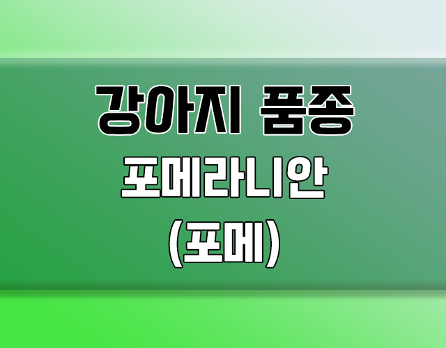 포메라니안