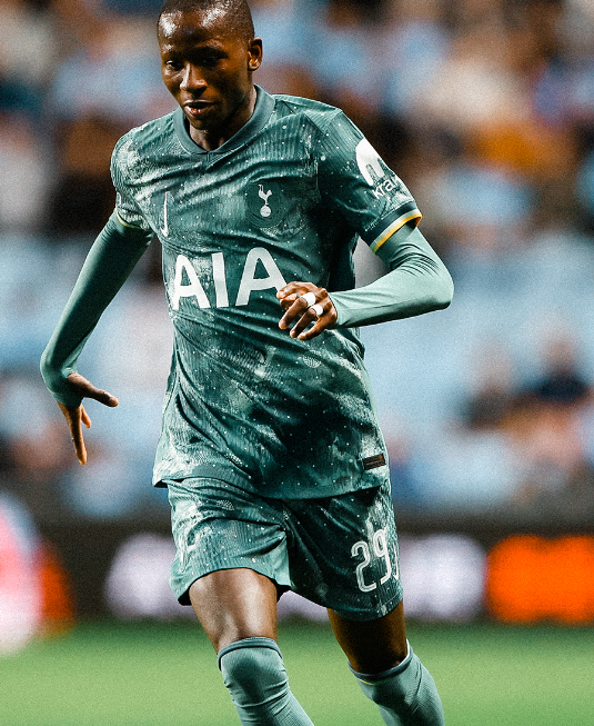 토트넘 선수
