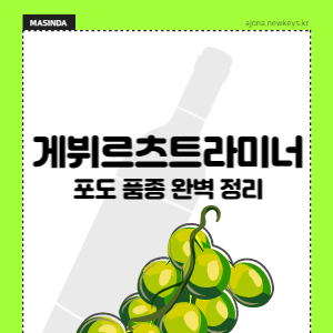 게뷔르츠트라미너