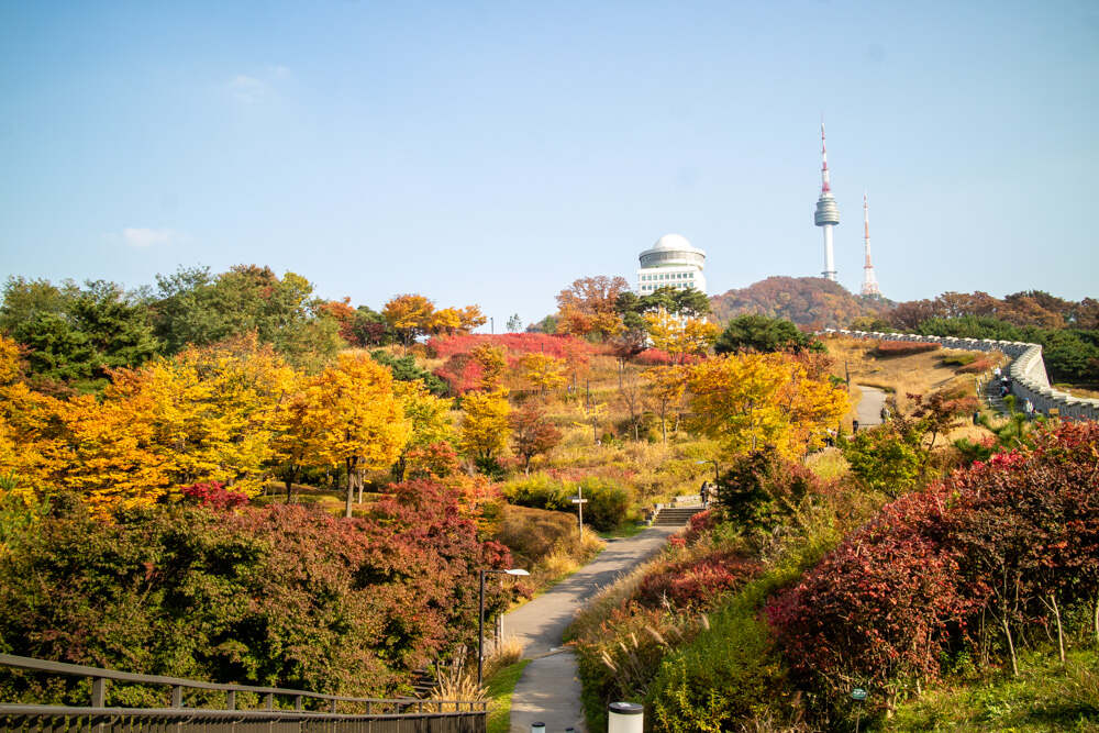 남산둘레길 10월 28일 상황 단풍