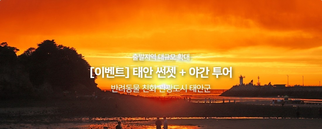 반려견 애견 동반 당일치기 여행 태안