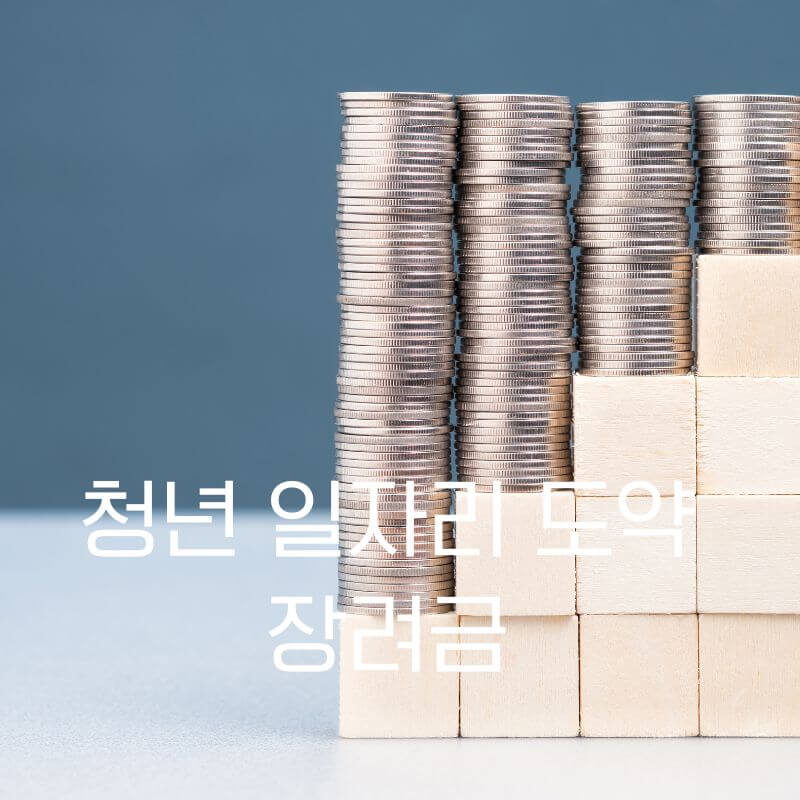 청년 일자리 도약 장려금