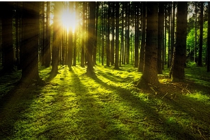 수면 호르몬 균형 맞추는 실천법