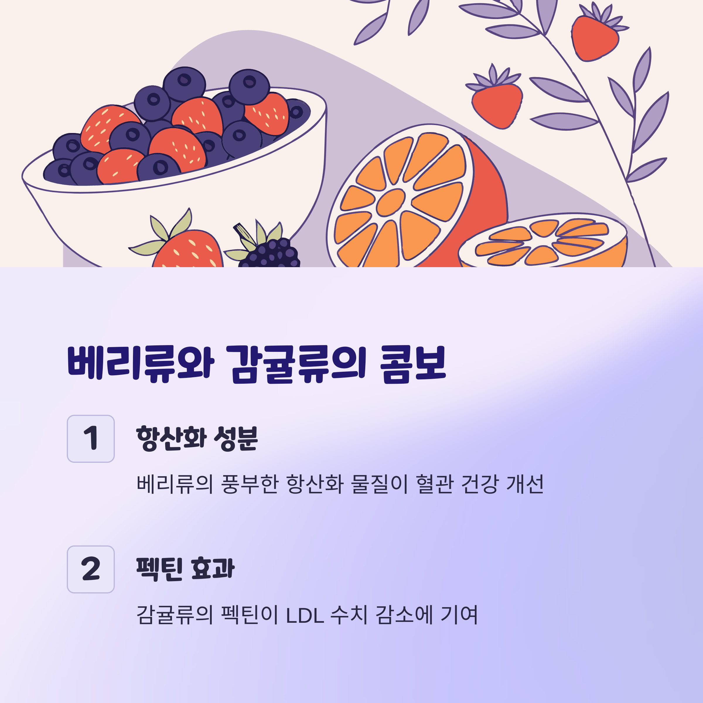 베리류 및 감귤류: 항산화 성분과 식이섬유의 콤보