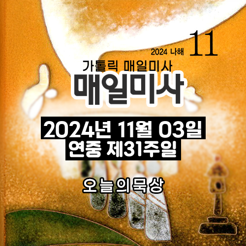2024년 11월 3일 매일미사 연중 제31주일 오늘의 묵상