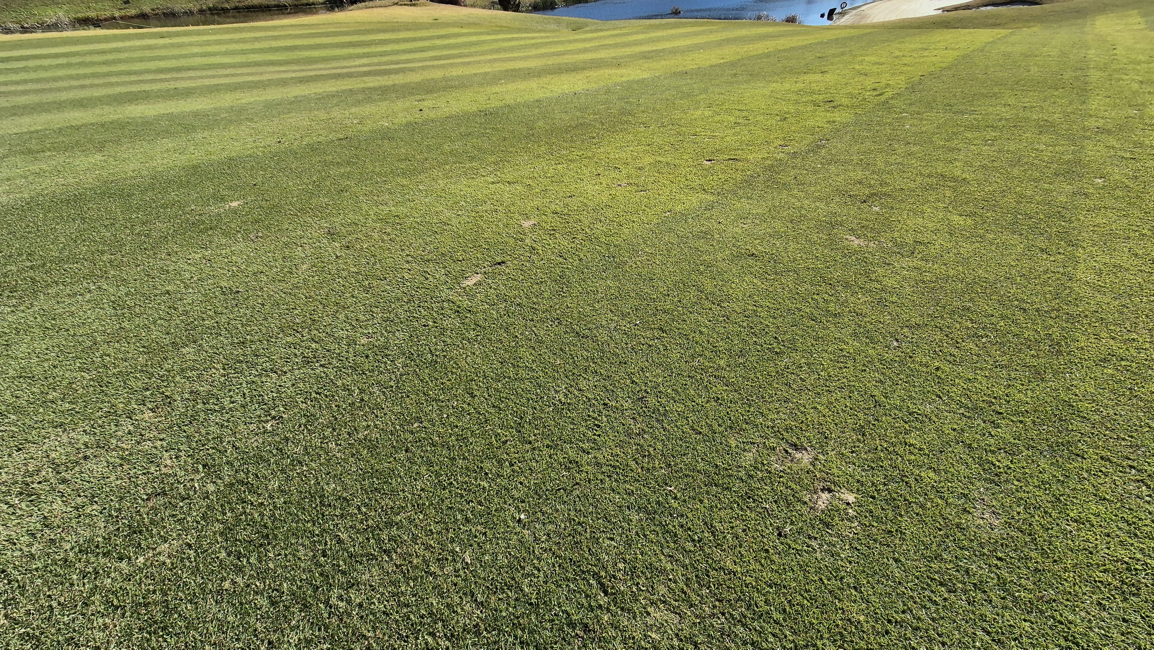 동촌gc 코스 관리 상태