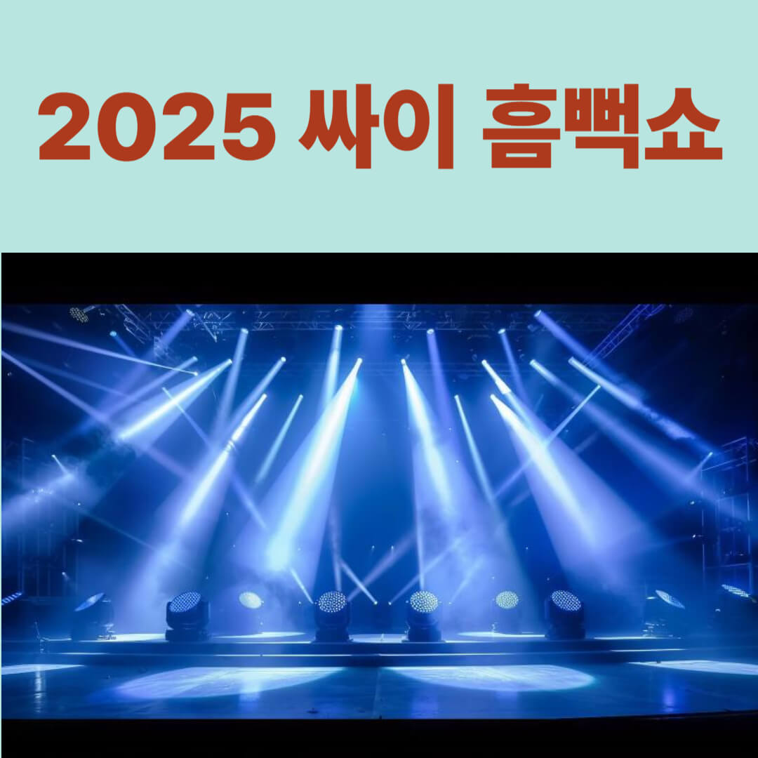 싸이 콘서트