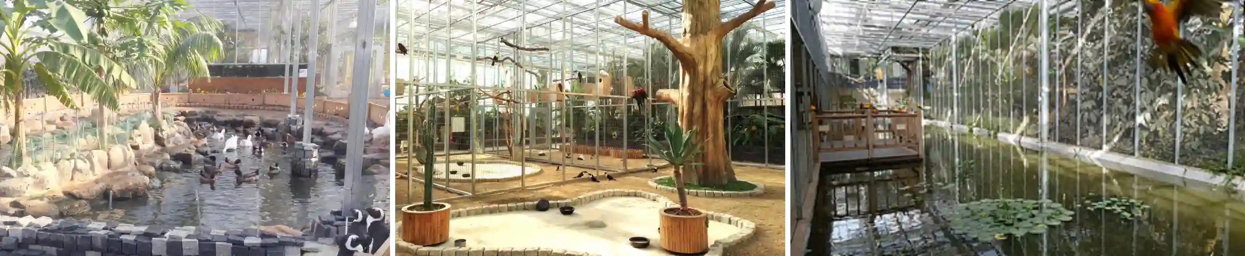 경주 버드파크 사진