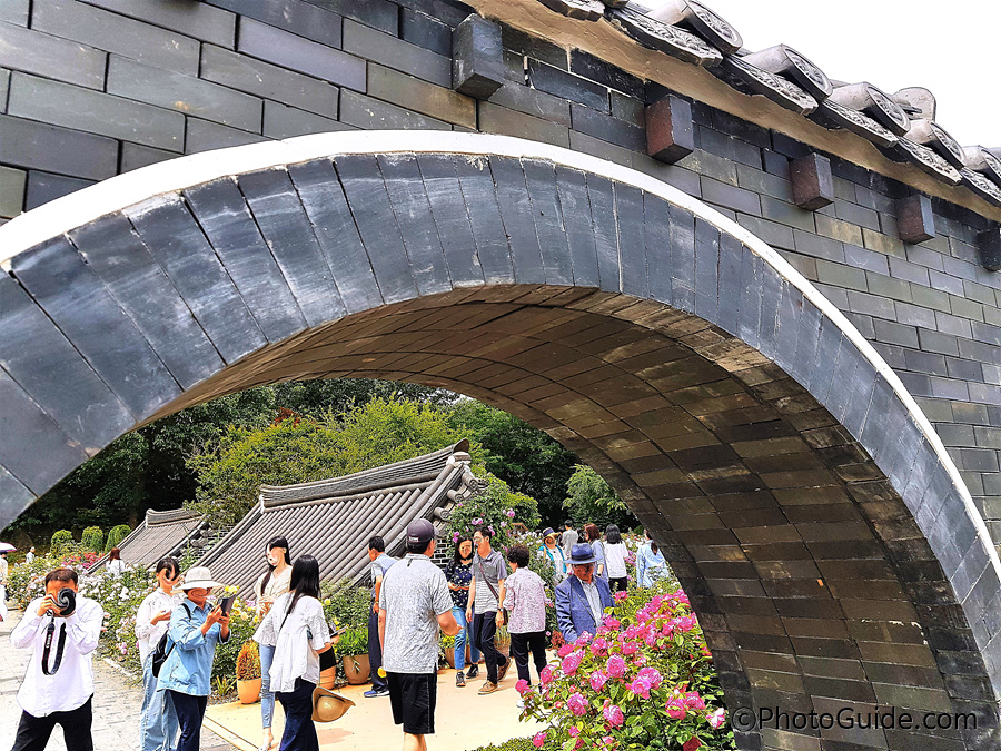 전주수목원장미