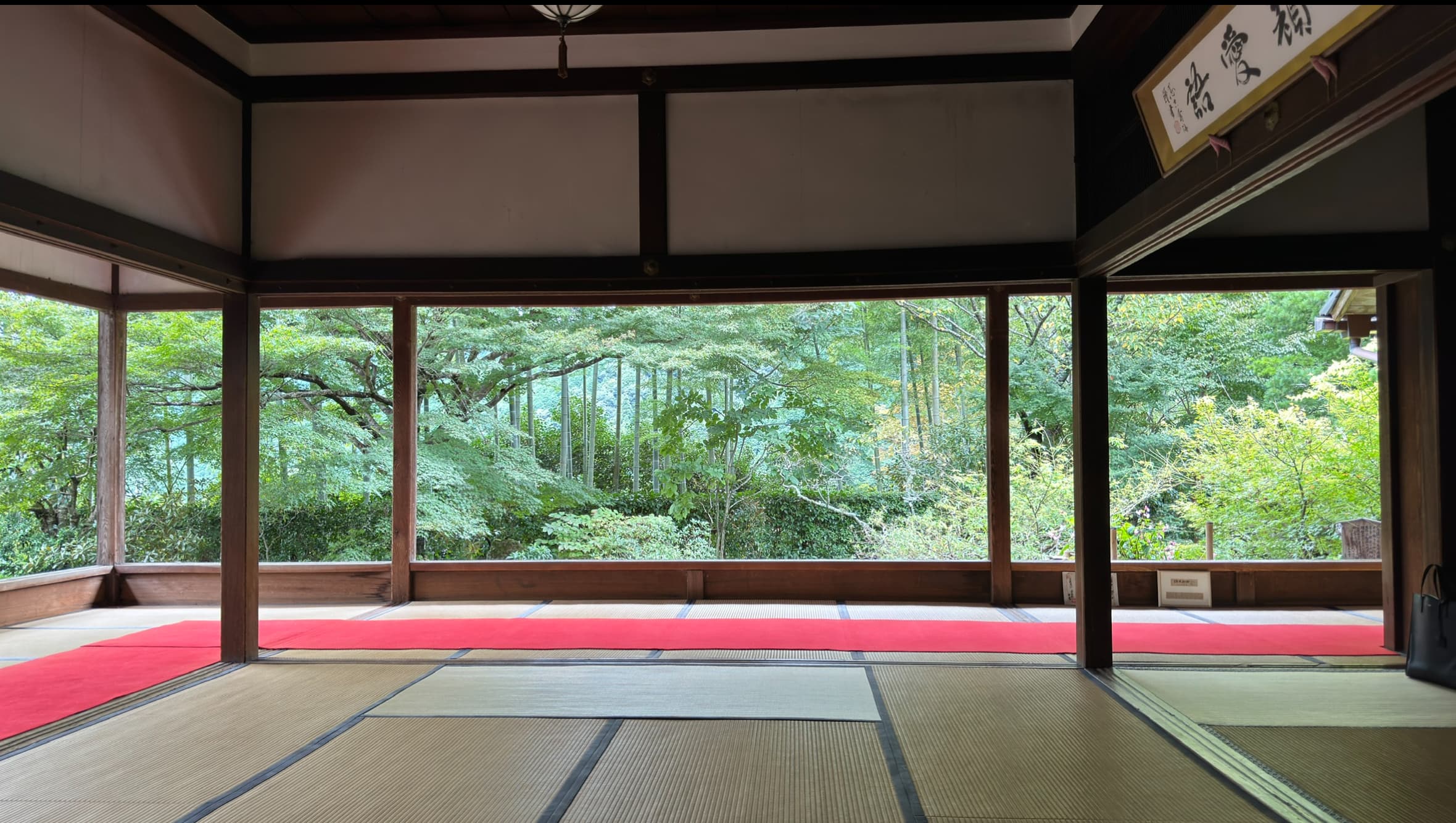 교토 오하라 호센인 ❘ 액자 속 풍경과 전쟁의 흔적이 공존하는 고즈넉한 사찰