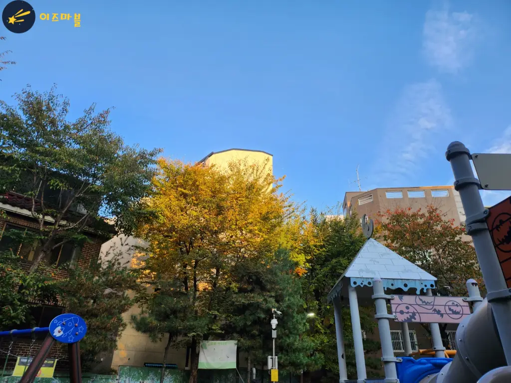 혼자 보기 아까운 가을 단풍