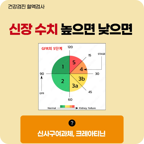 신장이 않좋을때 신사구체여과율, 크레아티닌의 수치