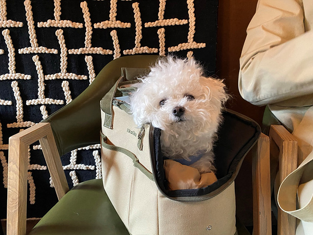 우유와 함께 버거드조선