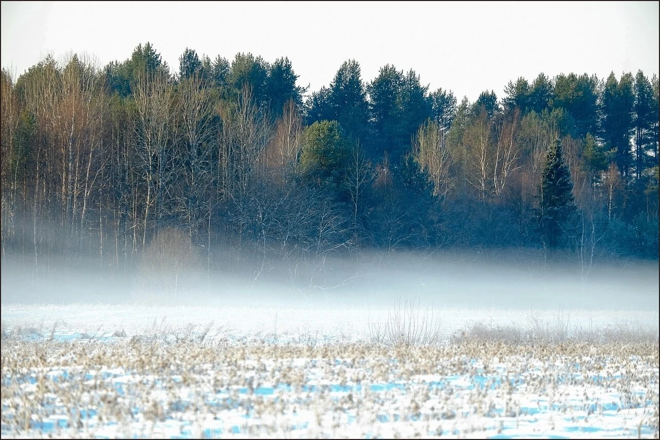 가족관계증명서 상세