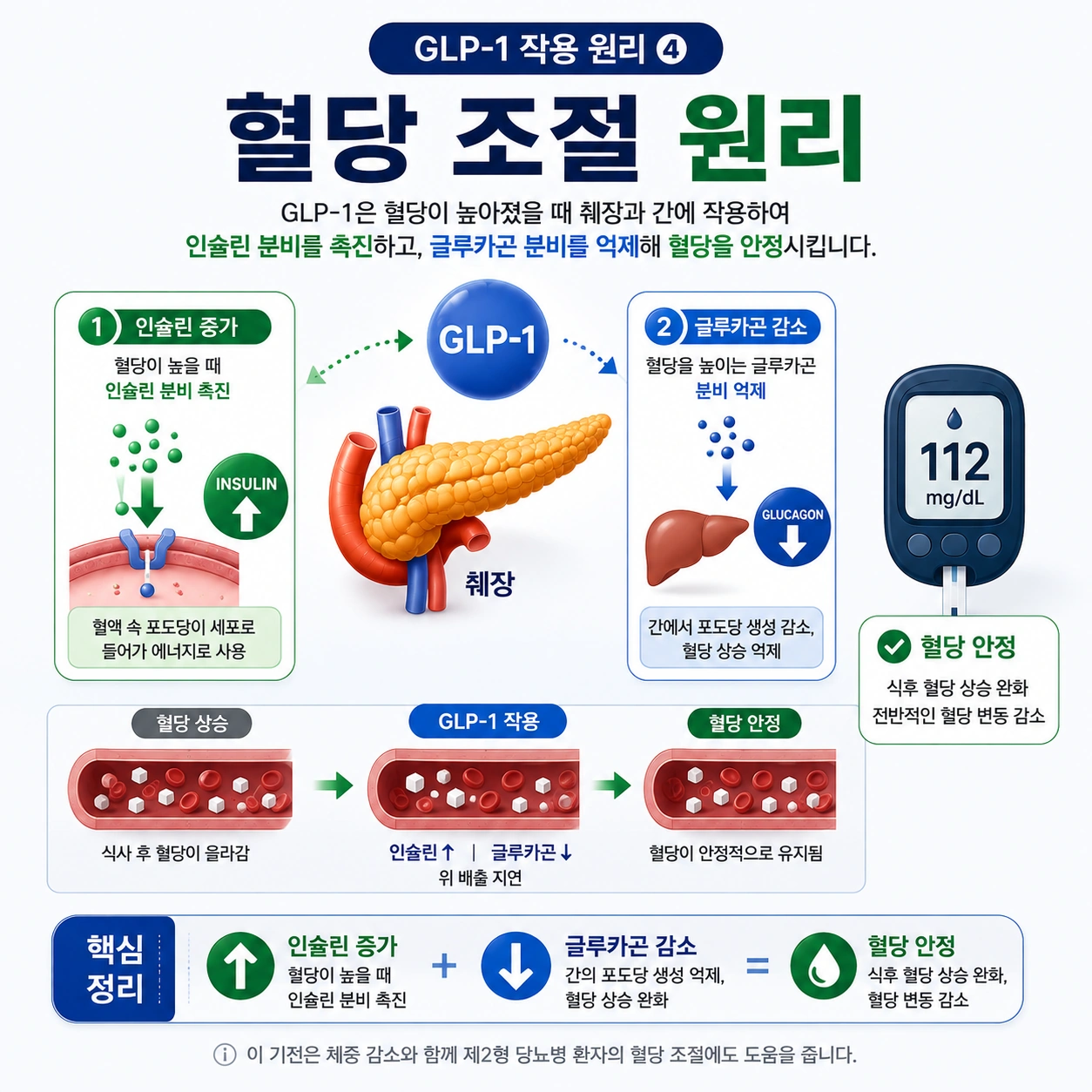 혈당-조절-원리