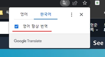 자동 번역기능 활성화 확인