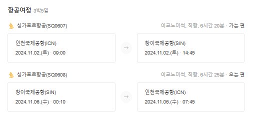 싱가포르 오전 비행