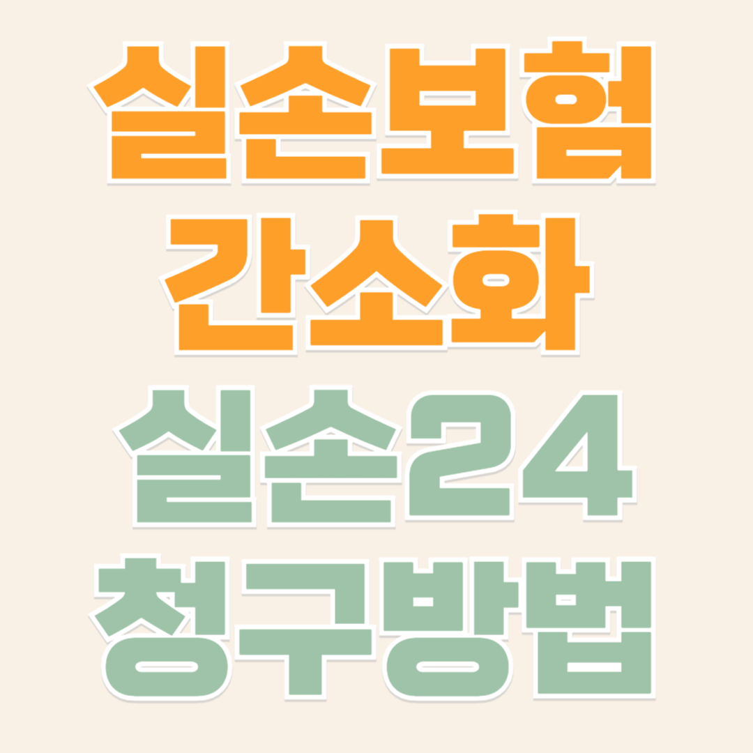 실손보험 간소화 실손24