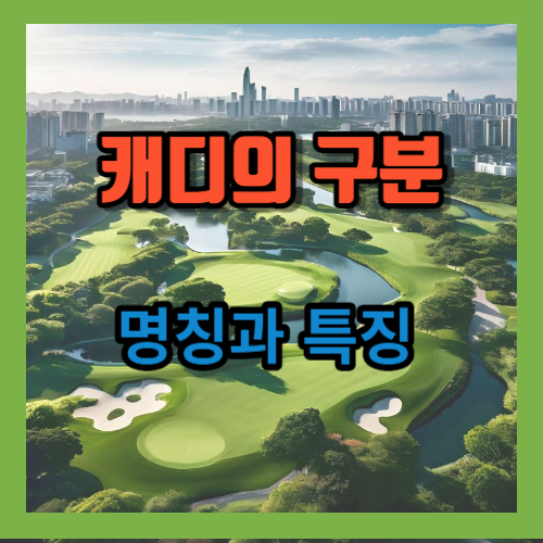 캐디의 구분, 명칭과 특징