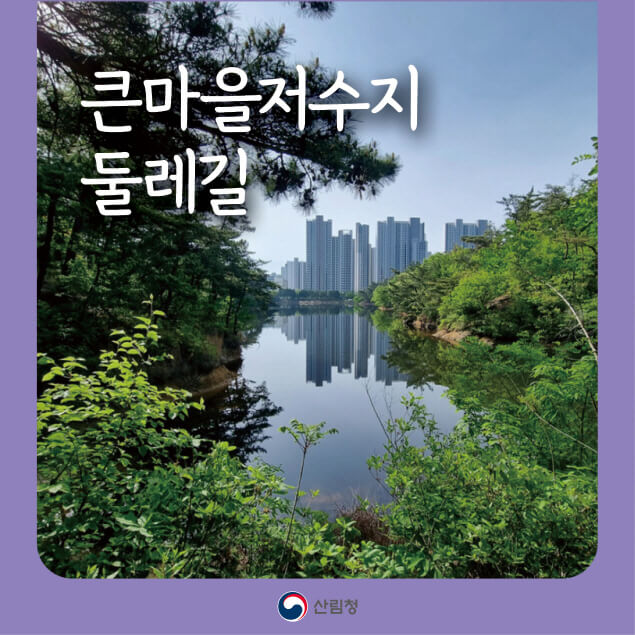 [명품숲길 50선] 울산 큰마을저수지 둘레길 : 봄 벚꽃길&middot;가을 단풍&middot;철새 맞춤 트레킹
