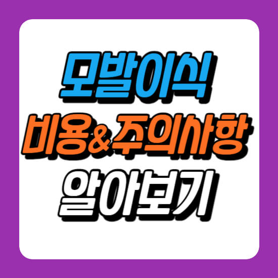 모발이식 비용 및 주의사항