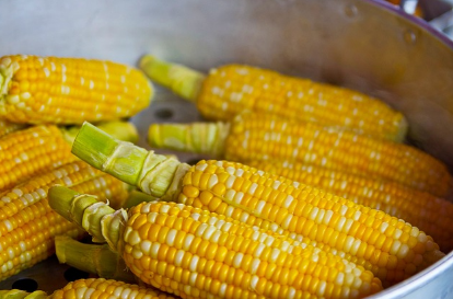 위암에 좋은 음식