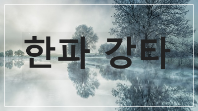 11월25일 한파 강타