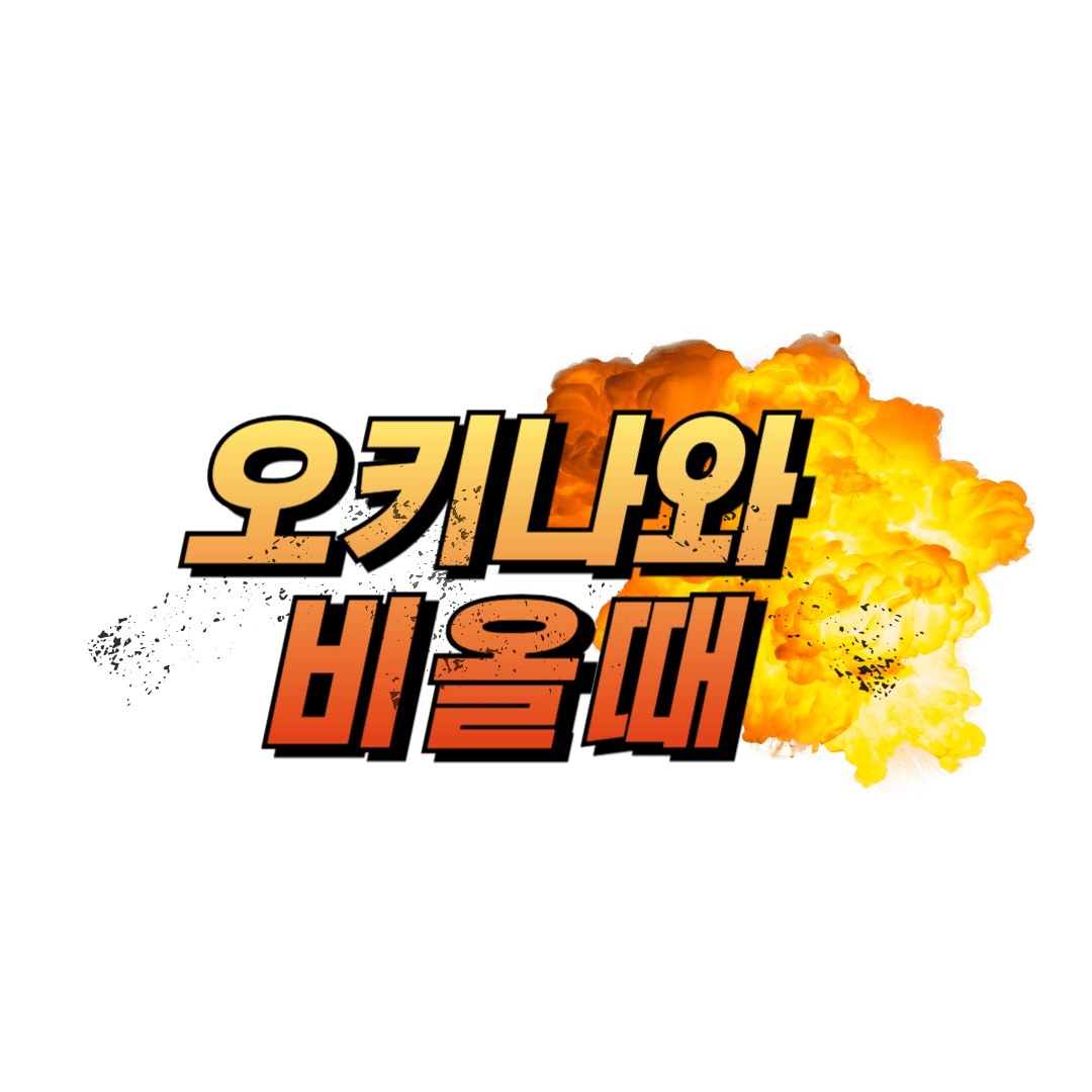 오키나와 비올때