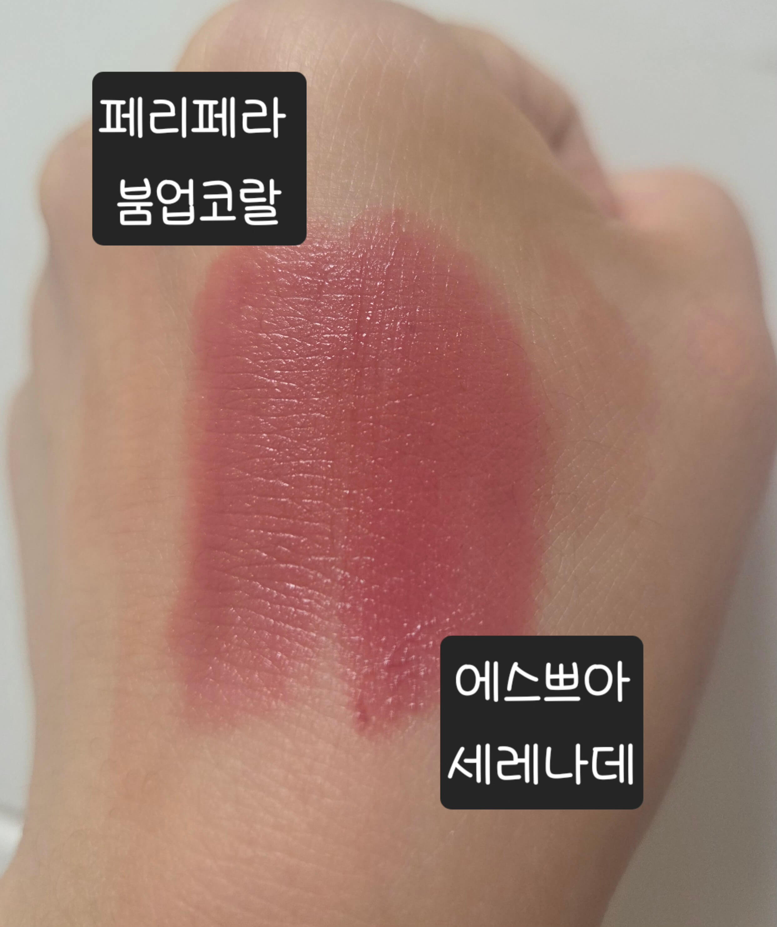 붐어코랄과 세레나데 비교