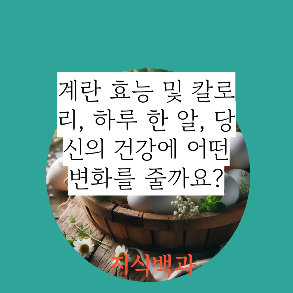 계란 효능 및 칼로리, 하루 한 알, 당신의 건강에 어떤 변화를 줄까요?