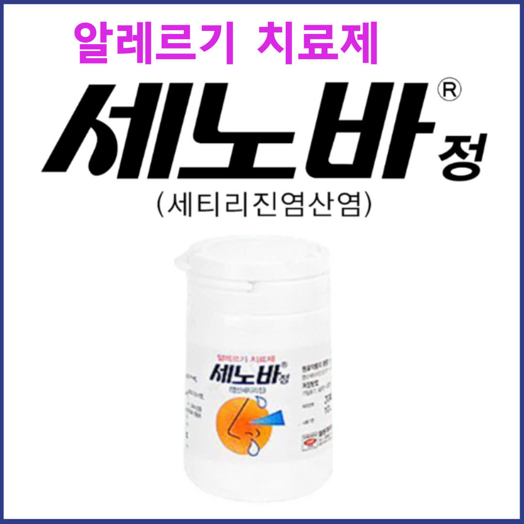 세노바정