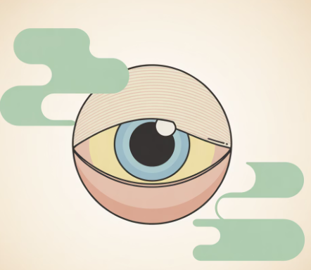 눈에 날파리 현상