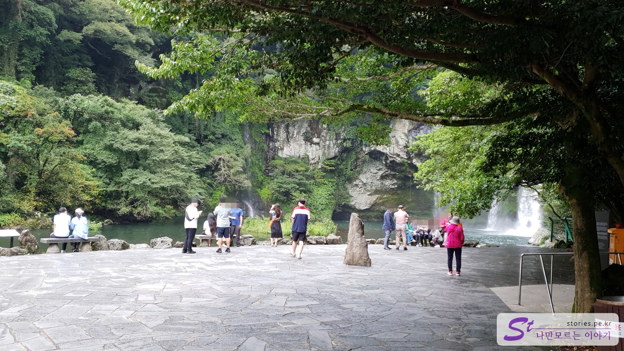 천지연 폭포