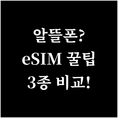 알뜰폰 eSIM 요금제 종류와 나에게..