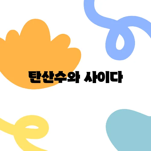 탄산수와 사이다, 정말 같은 걸까?