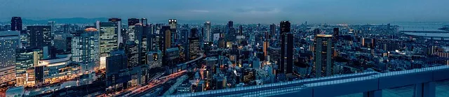 오사카 우메다 돈키호테 쇼핑리스트 추천아이템_6