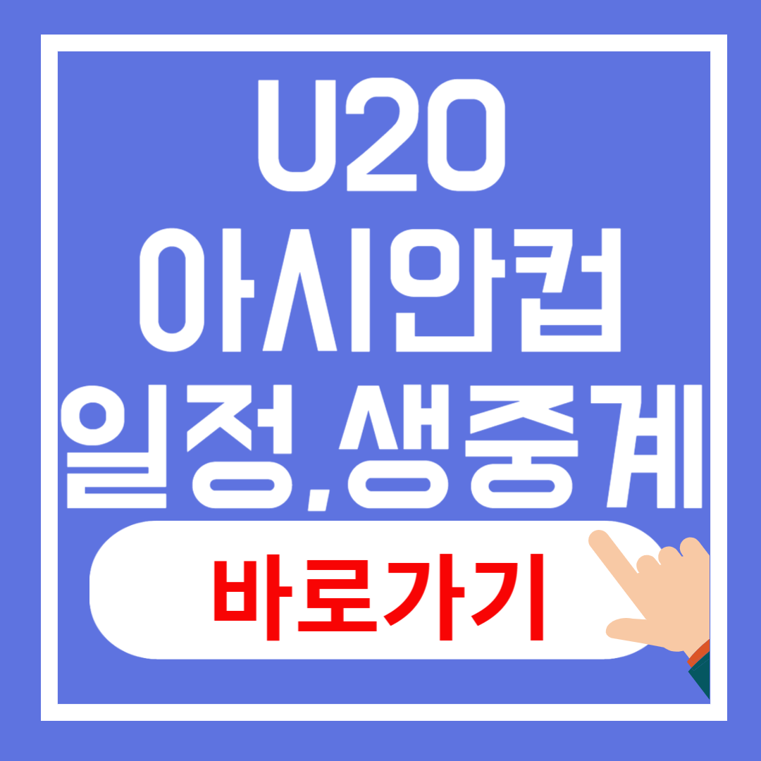 U20아시안컵 바로보기, 일정