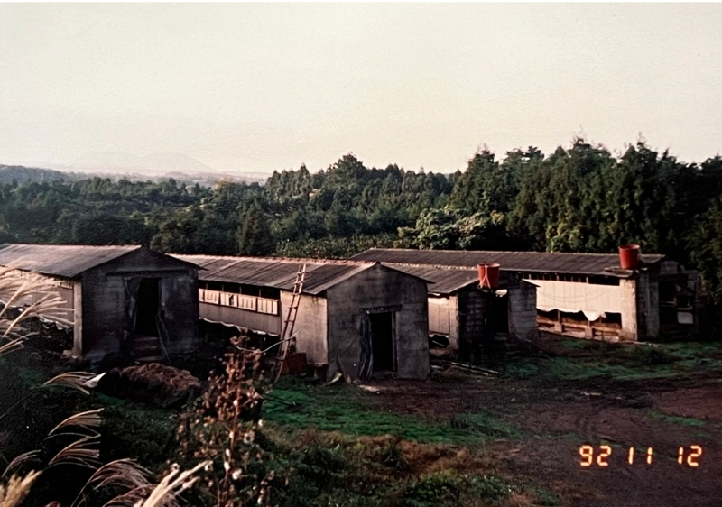 생방송투데이 제주 달걀 공장