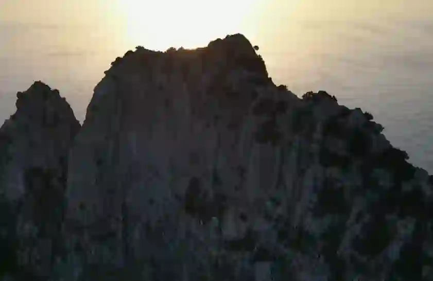 울릉도 배편 시간표, 크루즈 운임, 자동차 선적