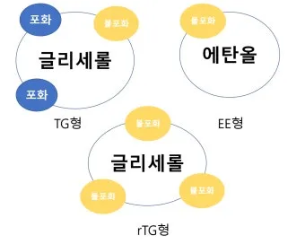 오메가3 선물 rTG 트리글리세라이드 IFOS 인증 혈관건강 중심 체크포인트_4