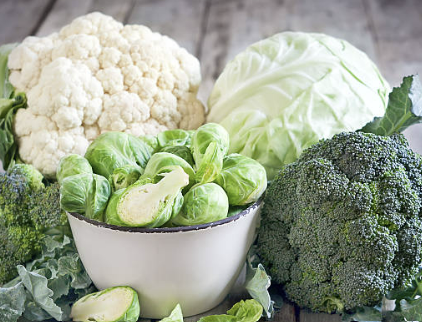 통풍 초기증상 치료법&amp;#44; 좋은 음식에 대한 모든 것 확인