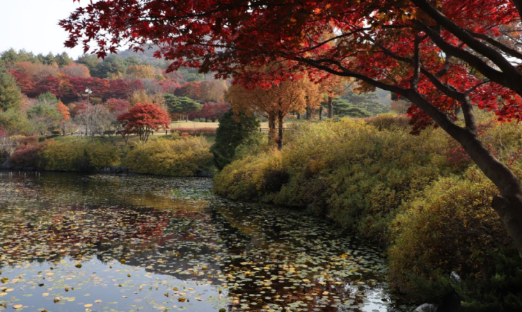 금강수목원